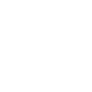 alba-solutions_logo_schriftzug_weiss